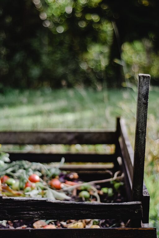 Beginner Tips for Composting at Home: A Simple Guide to Start Today